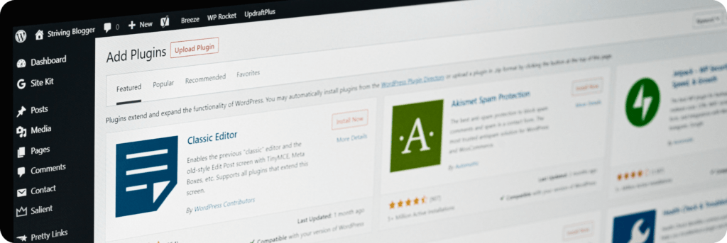 Custom WordPress Web Development in 2024