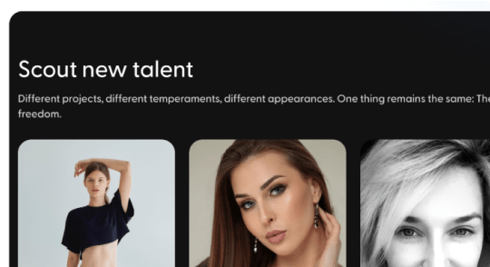 Web platform <br> of a modeling agency  №4
