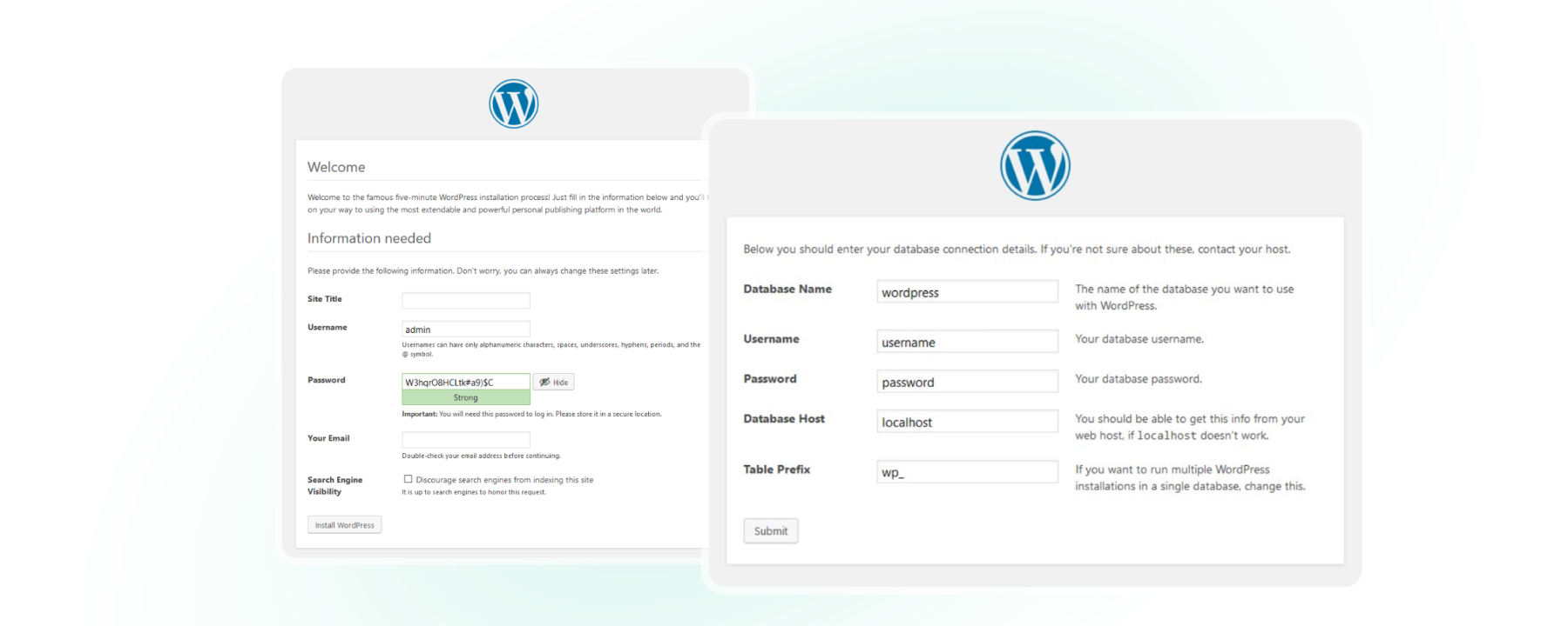 Installing WordPress