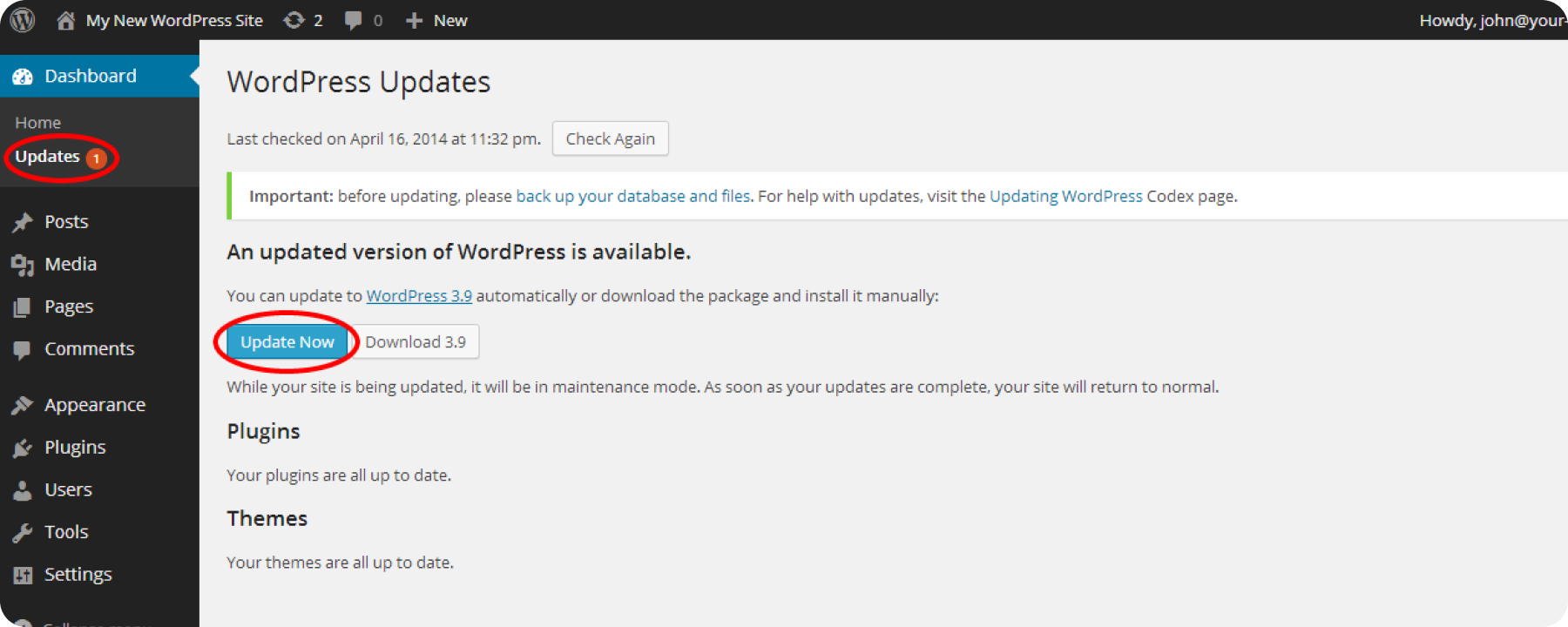 Keep WordPress Updated