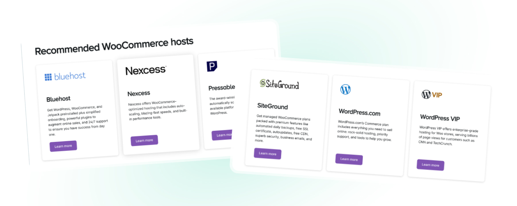  Choosing a Hosting Provider and Domain Name