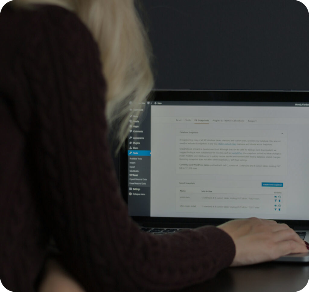 WordPress e-commerce development