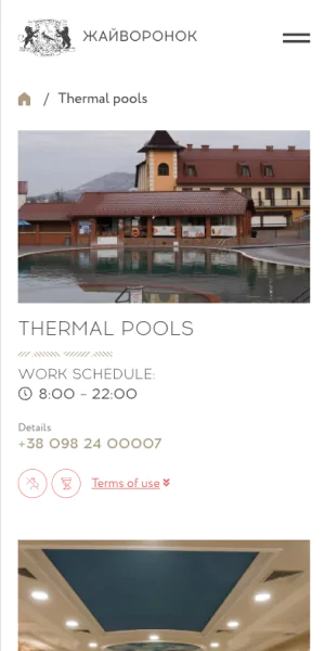 Zhaivoronok 6587 Artilab